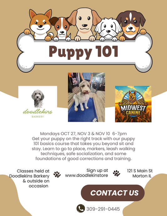 NEW DATES!! Puppy Pow-Wow Training Party!!!  3 weeks of fun and socialization for pups 16 weeks and older! Mondays Jan 12, 19, & 26!