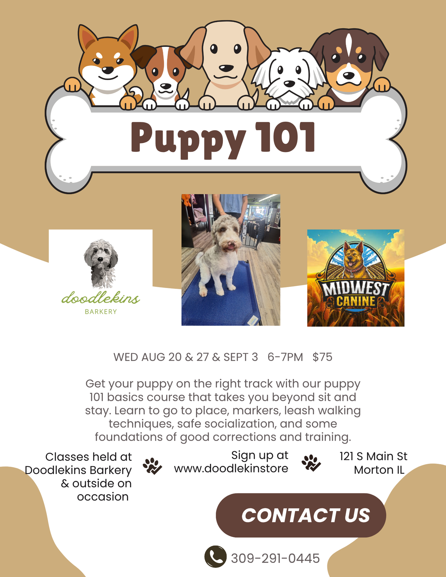 SOLD OUT! NEW DATES!! Puppy Pow-Wow Training Party!!! 3 weeks of fun and socialization for pups 16 weeks and older! Aug 20, 27 & Sep 3