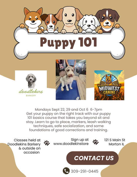 SOLD OUT!! Puppy Pow-Wow Training Party!!!  3 weeks of fun and socialization for pups 16 weeks and older! SEPT 29 & OCT 6 & 13th