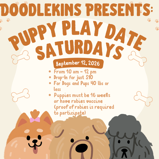 Puppy Play Date Saturdays! September 12, 2026