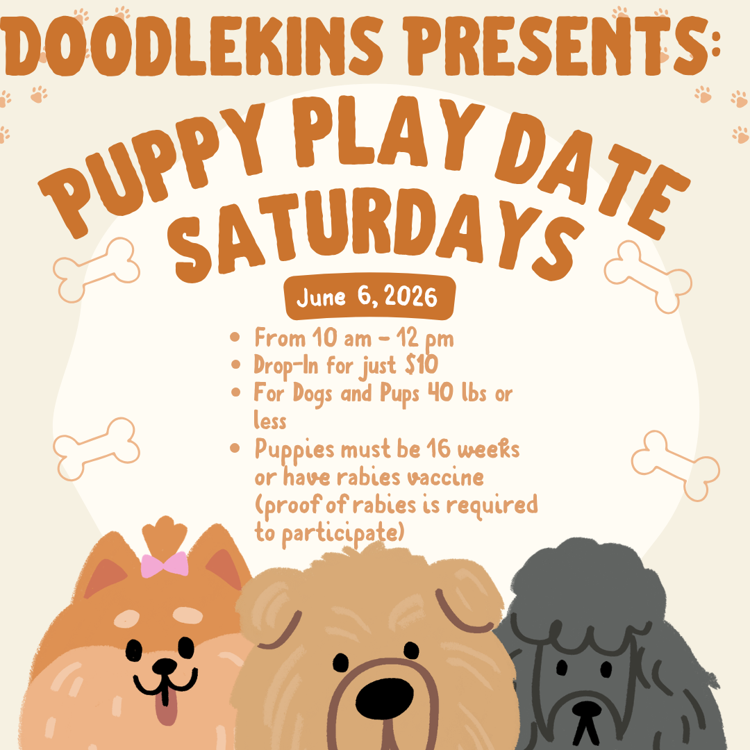 Puppy Play Date Saturdays! June 6, 2026