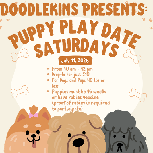 Puppy Play Date Saturdays! July 11, 2026