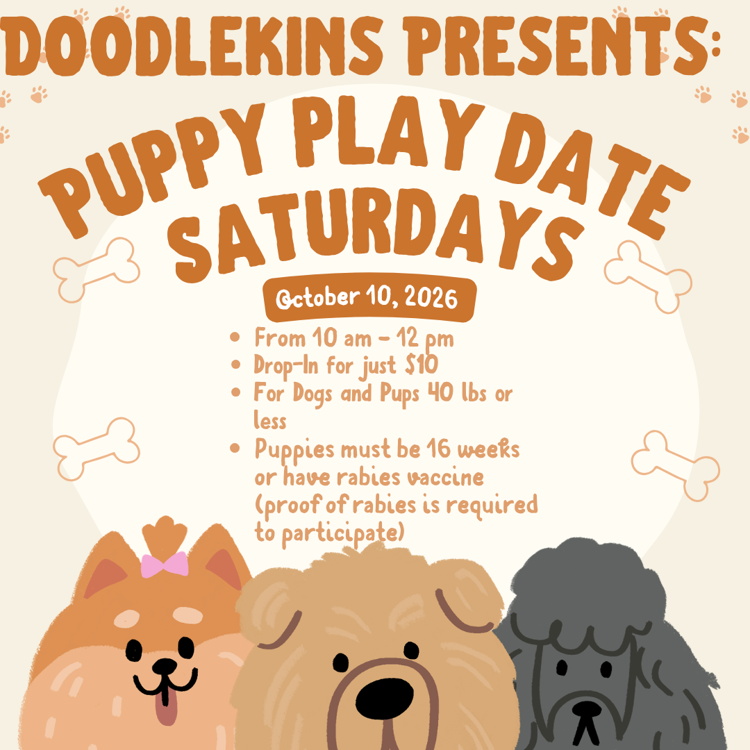 Puppy Play Date Saturdays! October 10, 2026