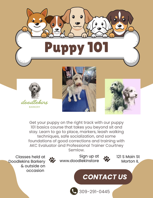 Puppy Pow-Wow Training Party!!!  3 weeks of fun and socialization for pups 16 weeks and older! Tuesdays November 17 - December 1 2026