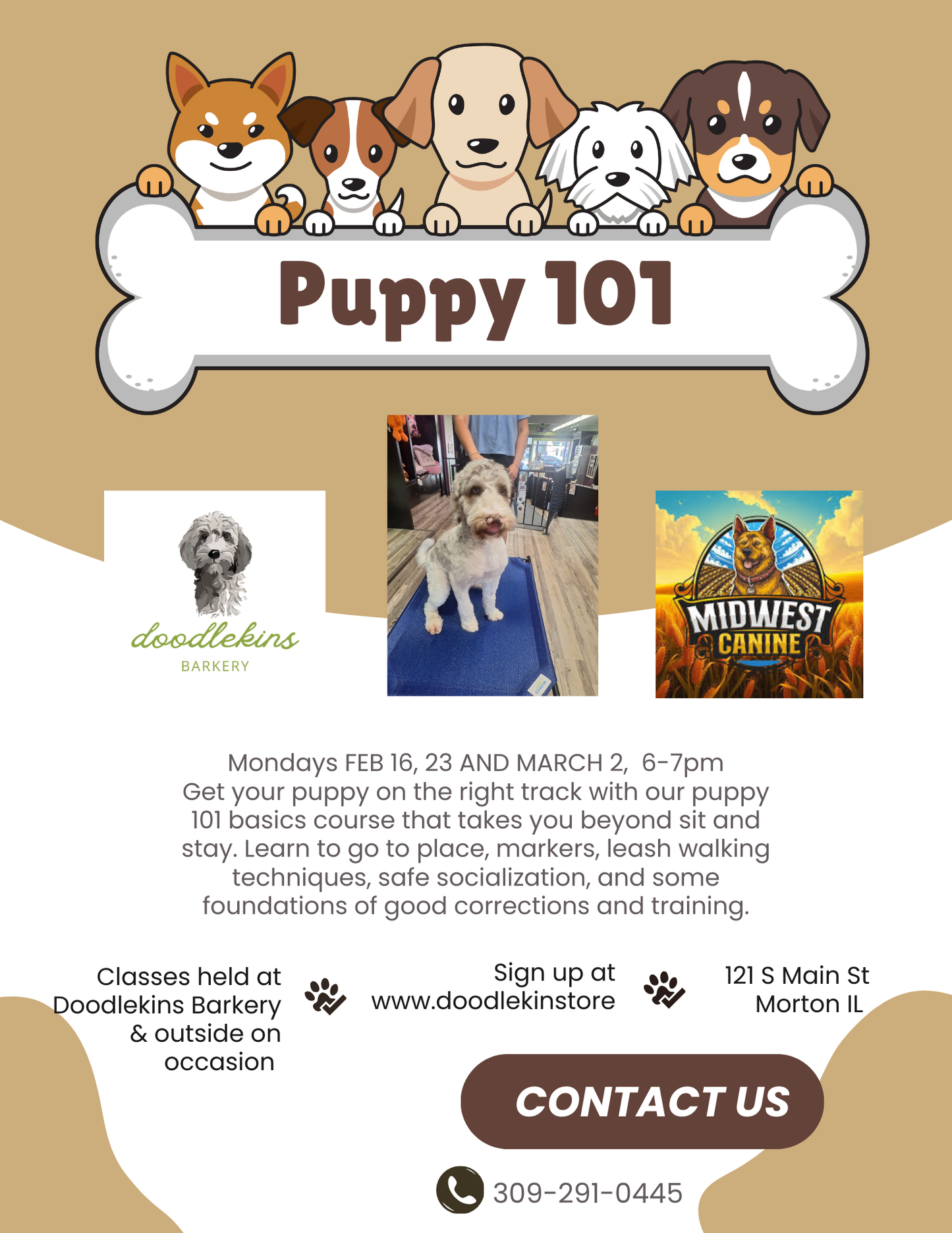 Sold out!!  Puppy Pow-Wow Training Party!!!  3 weeks of fun and socialization for pups 16 weeks and older! Wednesday March 11, 18, and 25th 2026