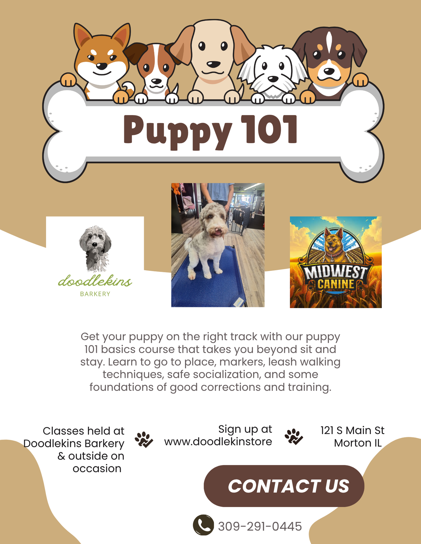 Puppy Pow-Wow Training Party!!!  3 weeks of fun and socialization for pups 16 weeks and older! Tuesdays August 4 - 18