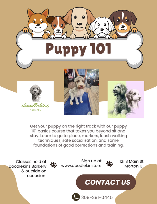 Puppy Pow-Wow Training Party!!!  3 weeks of fun and socialization for pups 16 weeks and older! Tuesdays August 4 - 18
