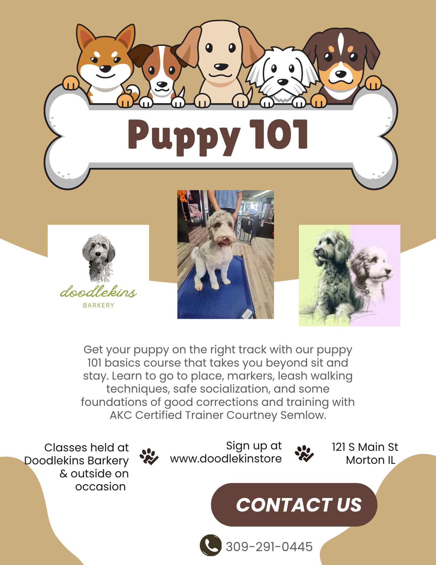 Puppy Pow-Wow Training Party!!!  3 weeks of fun and socialization for pups 16 weeks and older! Tuesdays August 4 - 18