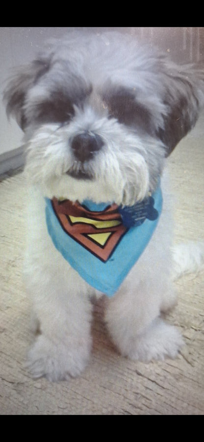 Paint Your Pup Party Realistic or Cartoon! - Side by side with a trained artist- Thurs Oct 9 530-830