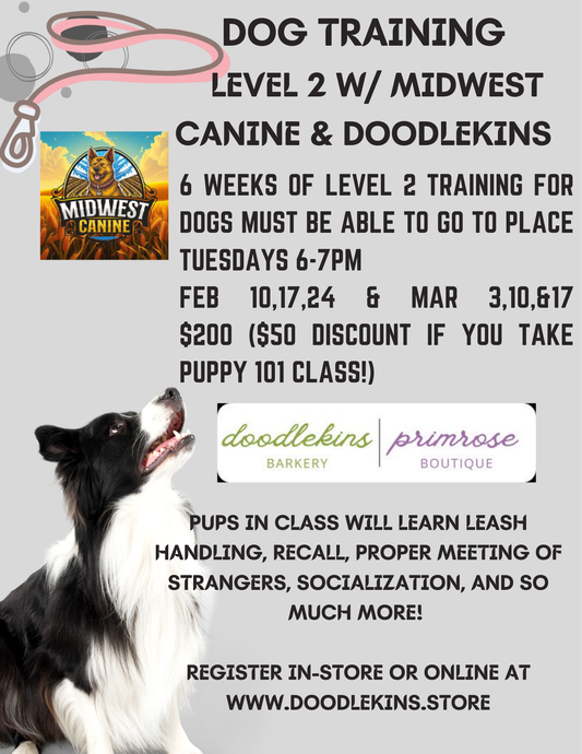 Dog Training LEVEL 2 with Professional Trainer Justin McMahon  6 week training Tue Feb 10-Tues March 17  2026
