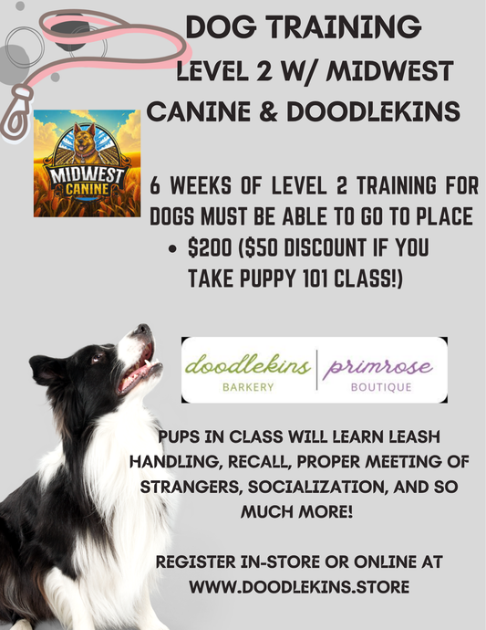 Dog Training LEVEL 2 with Professional Trainer Justin McMahon  6 week training  Monday June 1 - July 6