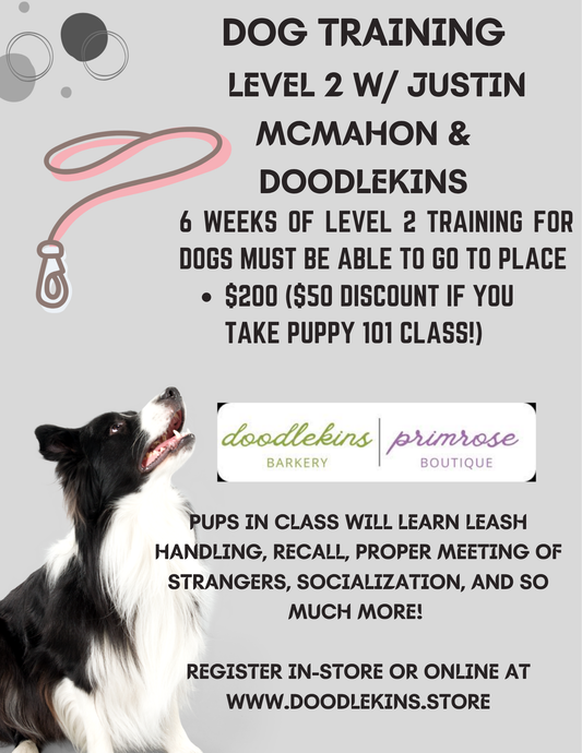 Dog Training LEVEL 2 with Professional Trainer Justin McMahon  6 week training  Monday June 1 - July 6