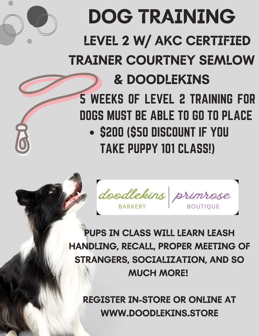 Dog Training Level 2 - 5 week training with AKC Certified Trainer Courtney Semlow Wednesday August 5 - September 2 2026