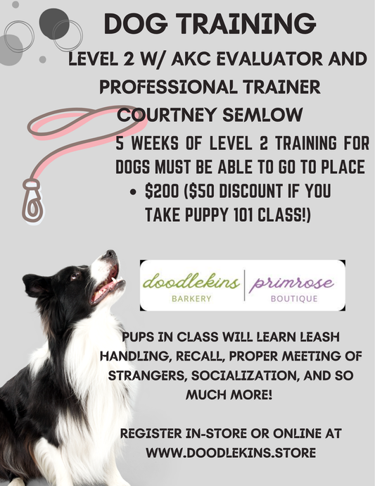 Dog Training Level 2 - 5 week training with AKC Evaluator and Professional Trainer Courtney Semlow Mondays October 5 - November 2 2026
